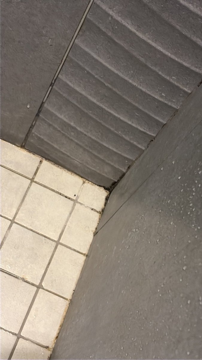ThomasLaske's tweet photo. @priceline booked The Brooklyn Hotel through you guys for $357 a night. Hotel had black mold and bedsheets had what seem like feces or blood stains. May be both! Room wasn’t even ready until we got back at 10:30pm. https://t.co/kjtvCvD3Gq