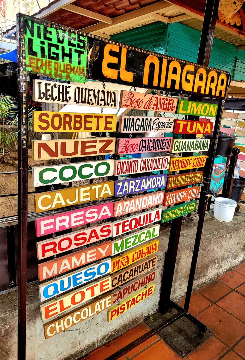 SusanaHarp's tweet photo. En el Jardín Sócrates, a un costado de la hermosa Basílica de la Virgen de la Soledad y bajo la sombra de monumentales laureles, se encuentra una parada obligada para quien visita el centro de la ciudad de Oaxaca. Con más de 35 años, este icónico lugar es conocido como “las nieves de La Soledad”, donde la gente se acerca a probar las tradicionales nieves, elaboradas artesanalmente por maestras y maestros neveros oaxaqueños que heredaron este oficio desde al menos cinco generaciones y que representa una de las tradiciones gastronómicas más arraigadas de la ciudad.

Las nieves son producidas con el método de “garrafa”, a partir de ingredientes naturales que se colocan en ánforas de acero inoxidable, las cuales se introducen en barriles de madera con hielo y sal de grano. Mediante movimientos circulares manuales se congela la mezcla hasta obtener la textura deseada, sin utilizar máquinas industriales.

Sorbete, leche quemada con tuna, tamarindo, nuez o frutas de temporada como mamey, mango, limón, guanábana y melón, son algunos de los sabores más emblemáticos que se pueden encontrar y que develan la magia de #Oaxaca.