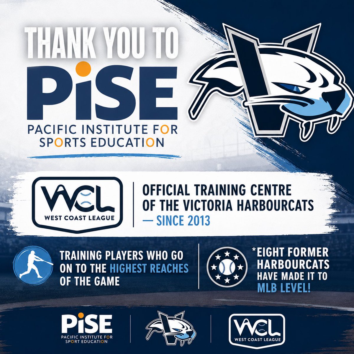 Victoria HarbourCats tweet media