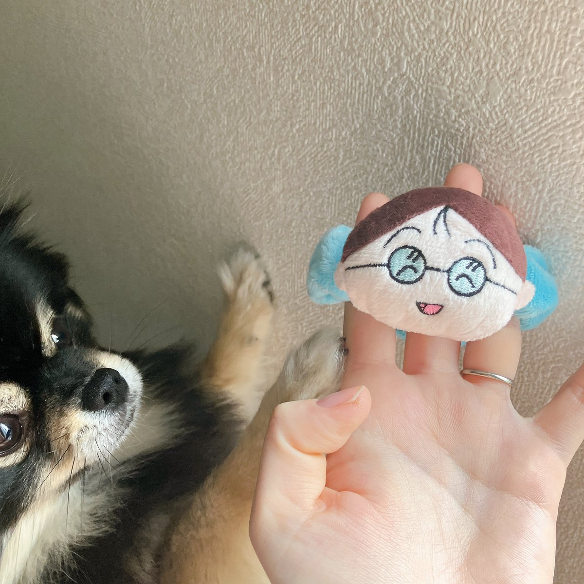 たまちゃん　ガチャ　シュシュ こないだガチャで引いたたまちゃんシュシュ シュシュ自体のゴムの強さ