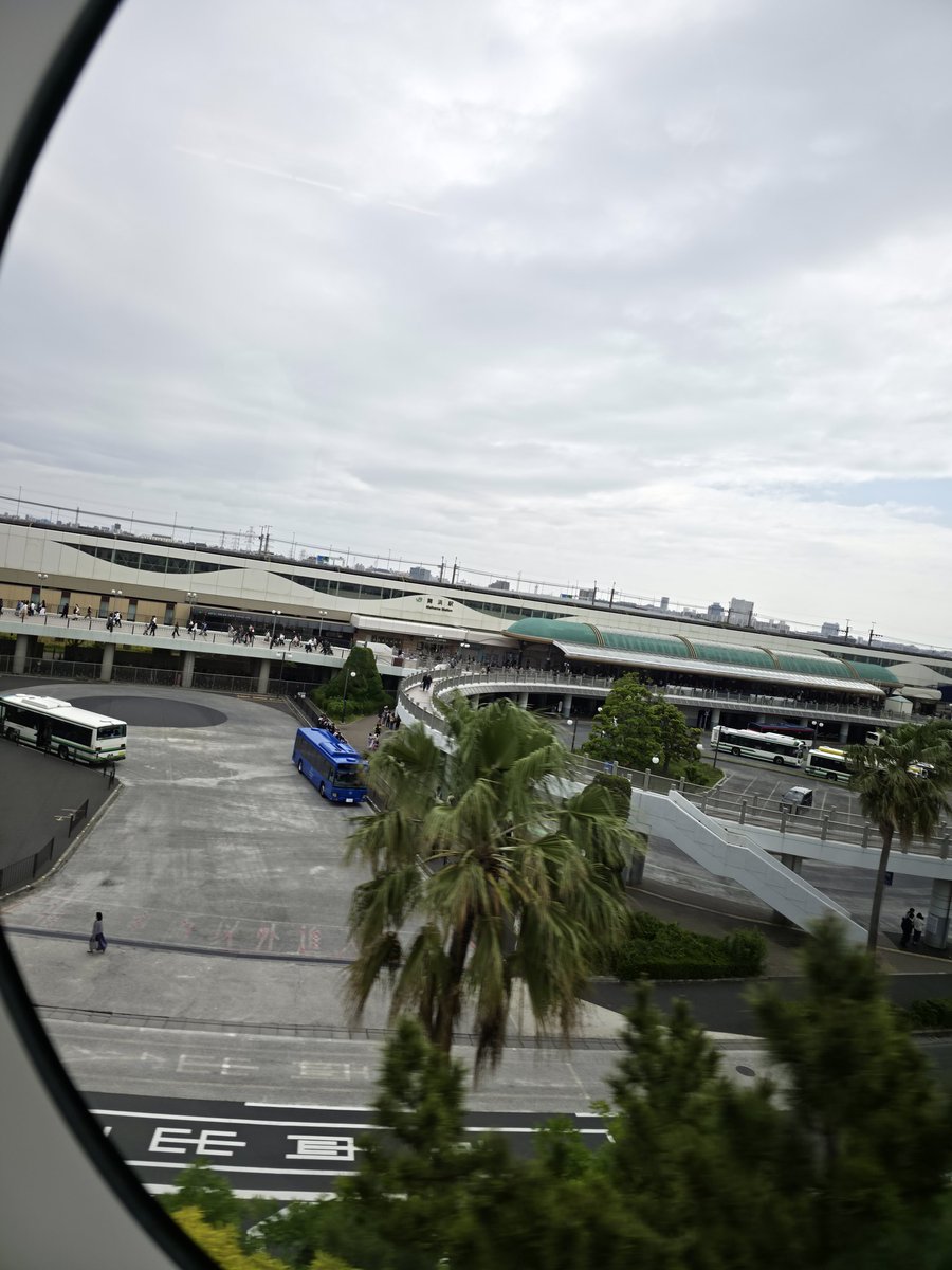 harryorsiro71's tweet photo. ディズニーだあああああああああ！ https://t.co/wrtyc5srup