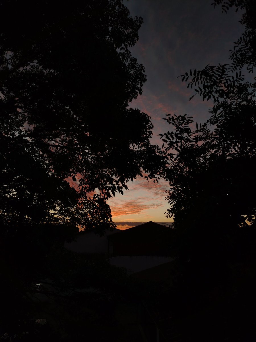 edmingo1's tweet photo. Buenas tardes. https://t.co/gWIYmZsRgk