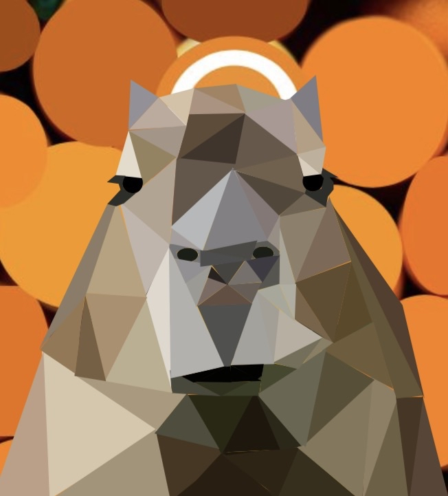 King Capybara tweet media