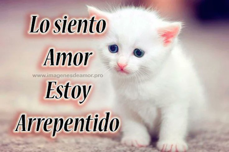 𐔌 . 𝑨𝒍𝒚 ! ୧ tweet media