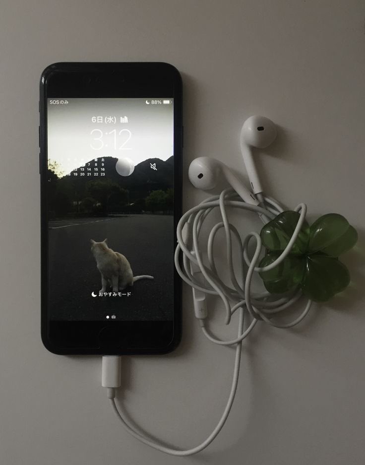 leechi ᥫ᭡ tweet media