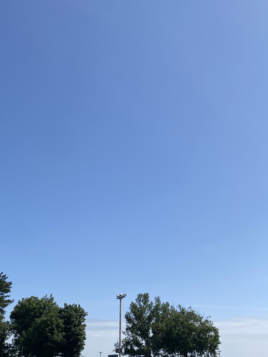 しょこぽん tweet media