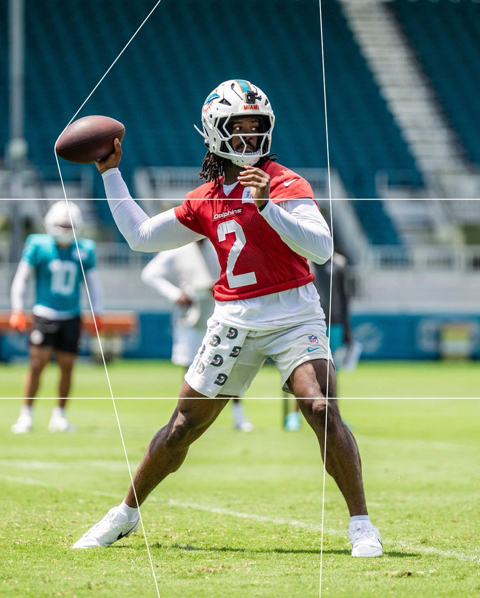 Dolphins en Español tweet media