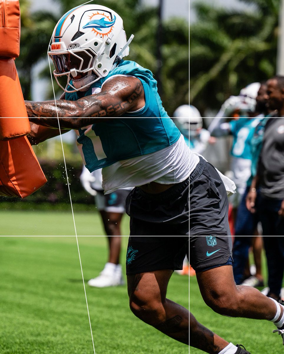 Dolphins en Español tweet media