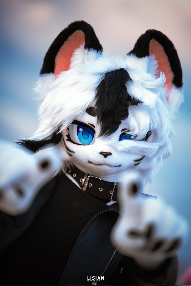 레호Rehoレホ tweet media