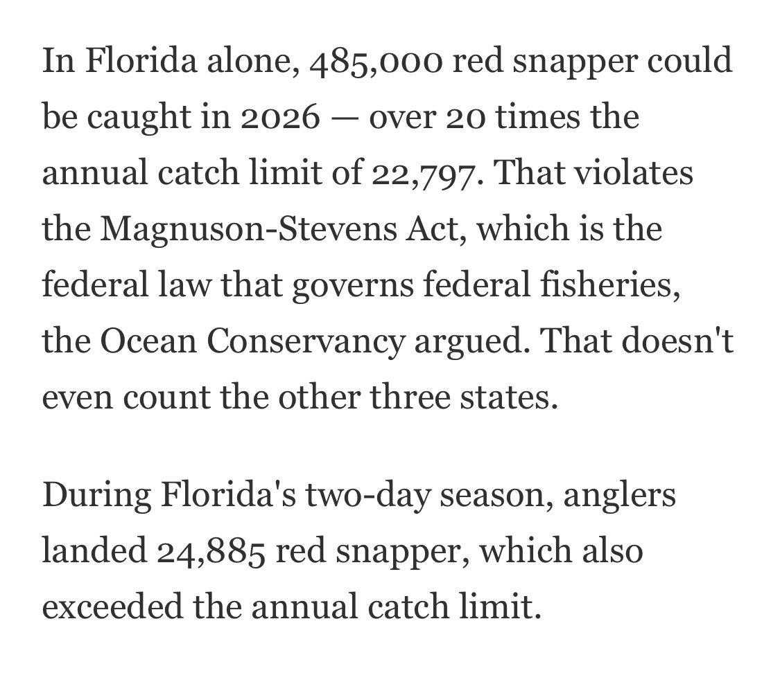 spencer 🦈 tweet media