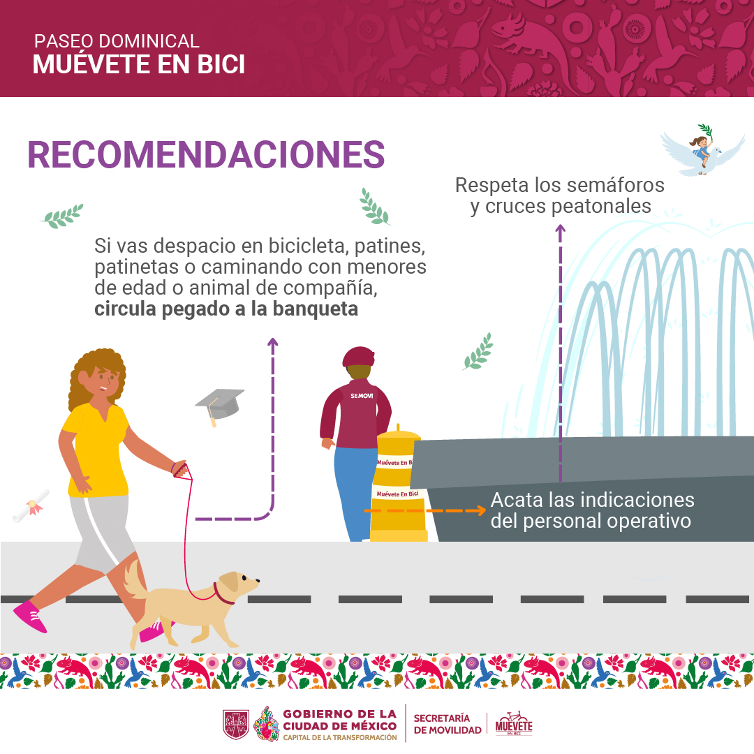 MI Bici CDMX tweet media