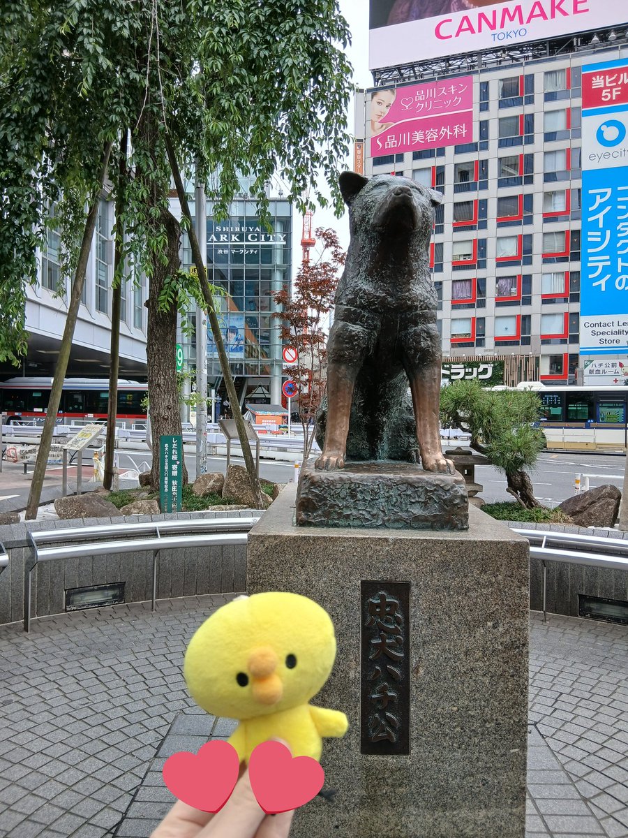 玲菜(レナ) tweet media