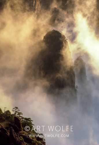 Art Wolfe tweet media