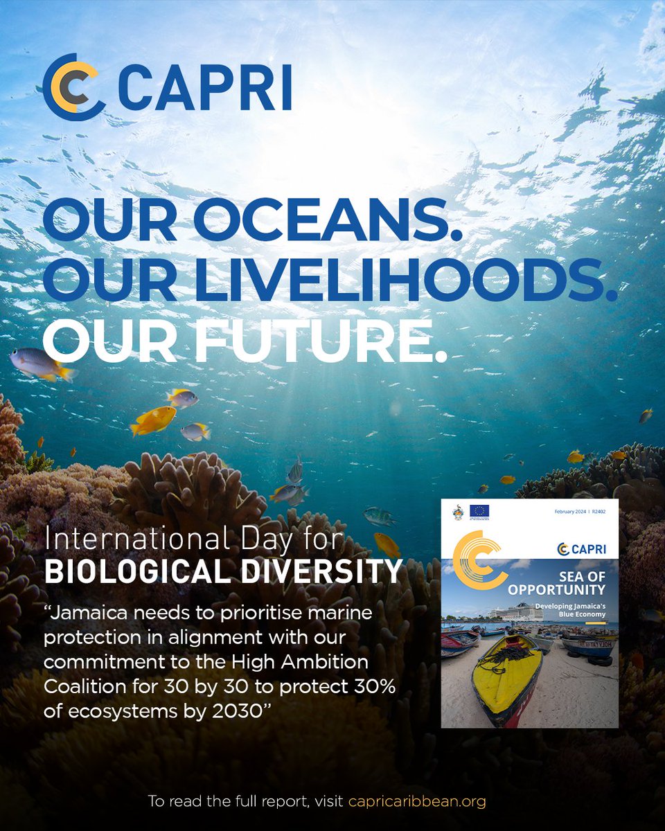 CapriCaribbean's tweet photo. Our oceans. Our livelihoods. Our future.🌊 

This #InternationalDayforBiologicalDiversity 2026, the theme "Acting Locally for Global Impact" reminds us that global goals are reached through national choices.

For Jamaica, some of the most consequential choices we can make are about the sea. CAPRI's "#SeaOfOpportunity: Developing Jamaica's Blue Economy" report, funded by the European Union (@euinjamaica), charts a clear path forward:
🔹Prioritise marine protection aligned with our 30 by 30 commitment
🔹 Diversify tourism toward ecotourism and conservation-based marine offerings
🔹 Establish a regional Sustainable Finance Hub for blue and climate finance
🔹 Embed fisherfolk in policy and MPA decision-making

📖 Read the full report at https://t.co/xhEuyNyRXy

#CAPRICaribbean #BiodiversityDay2026 #BlueEconomy