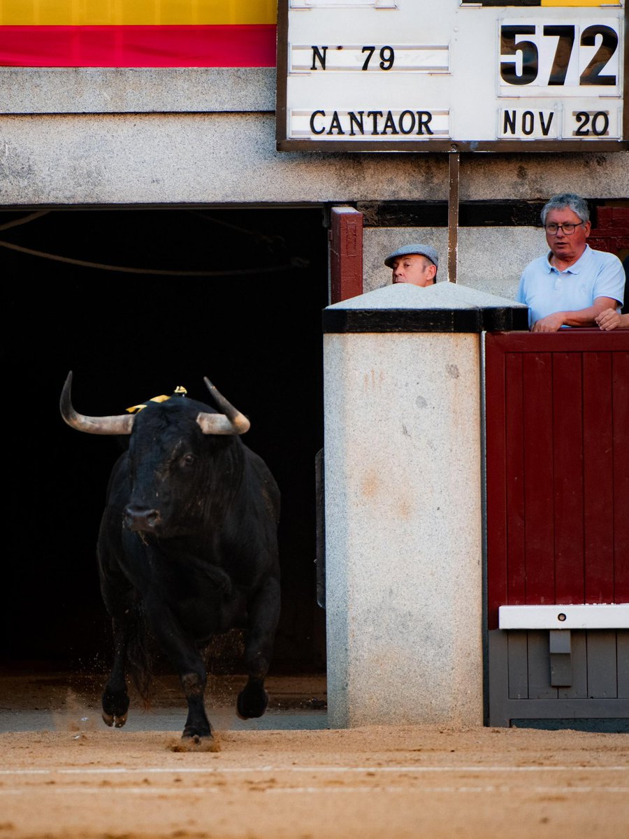 El arte de Belmonte tweet media