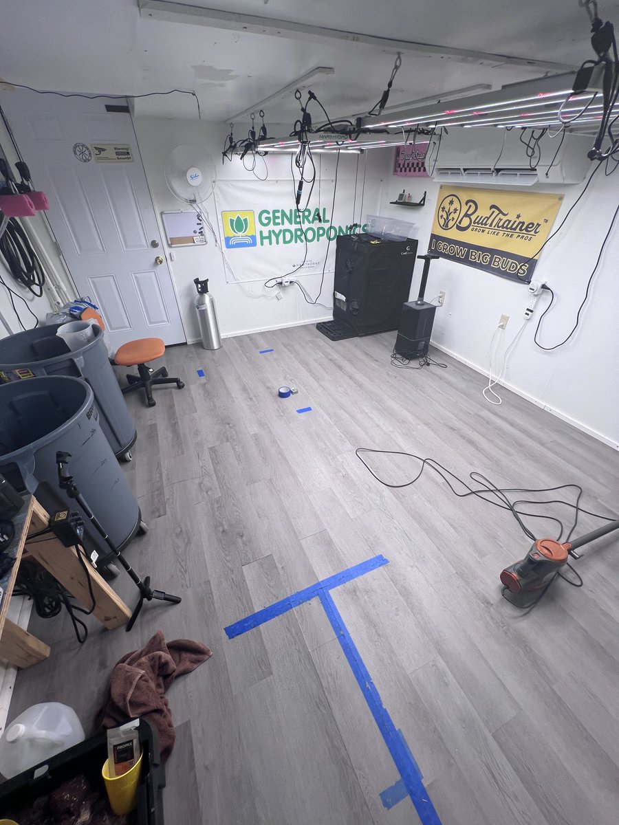 ThatHydroCouple's tweet photo. Front room getting redone. Hopefully it works out like I vision in my head 🤞#CannabisCommunity https://t.co/zkKGWUUYUR