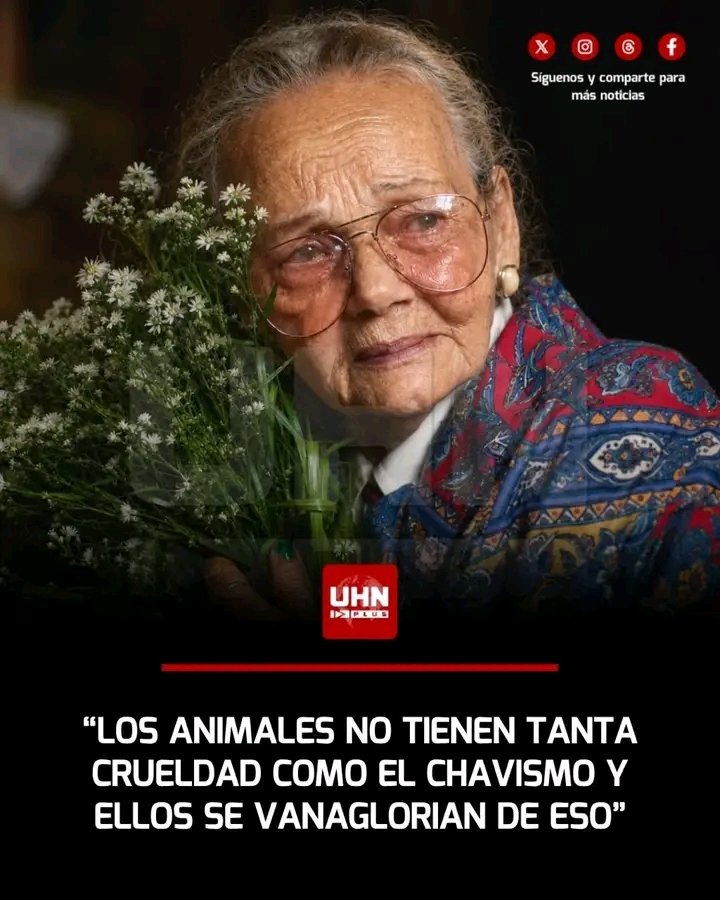 ꪜꫀ᭢ꫀɀꪊꫀꪶꪖ🇻🇪ִֶָ𓂃 ࣪˖ ִֶָ🐇་ tweet media