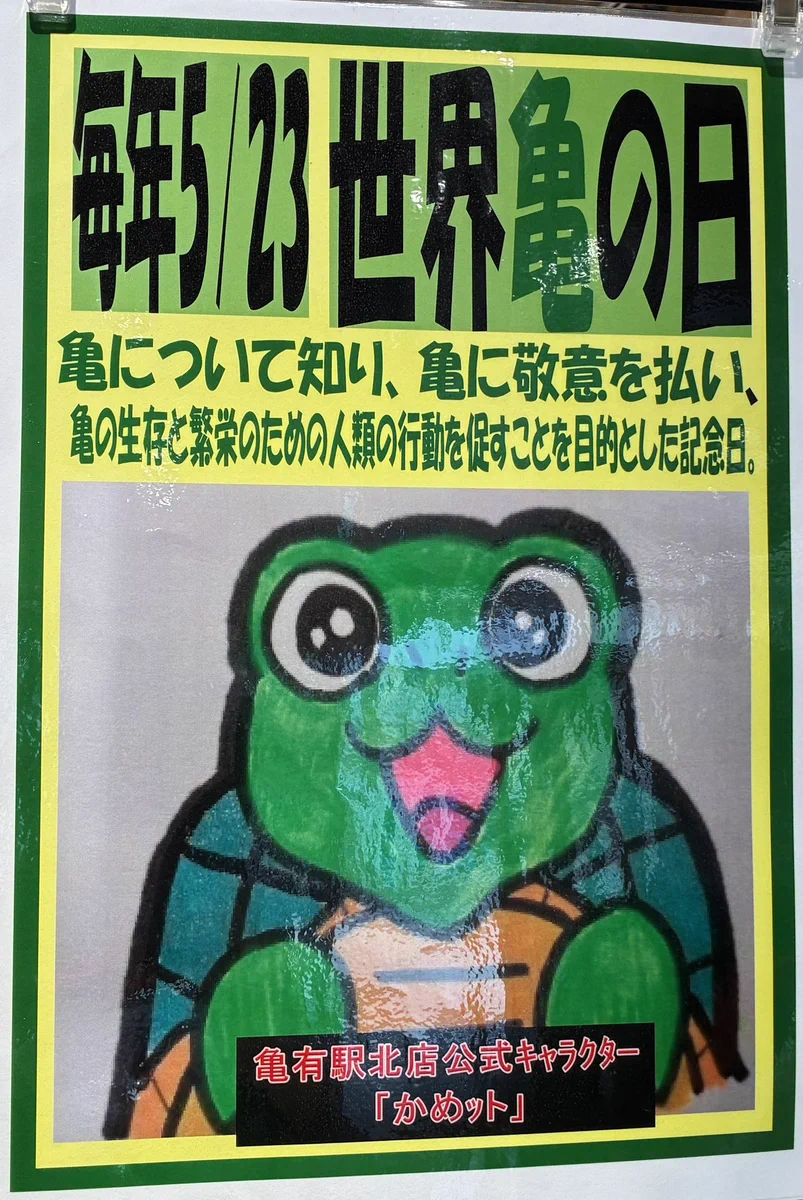 最終価格 カメ子カメ男 ED20 サイン入り キミに名前をつけてあげなきゃね。 HI9pIn0boAAGE7Z?format=webp&