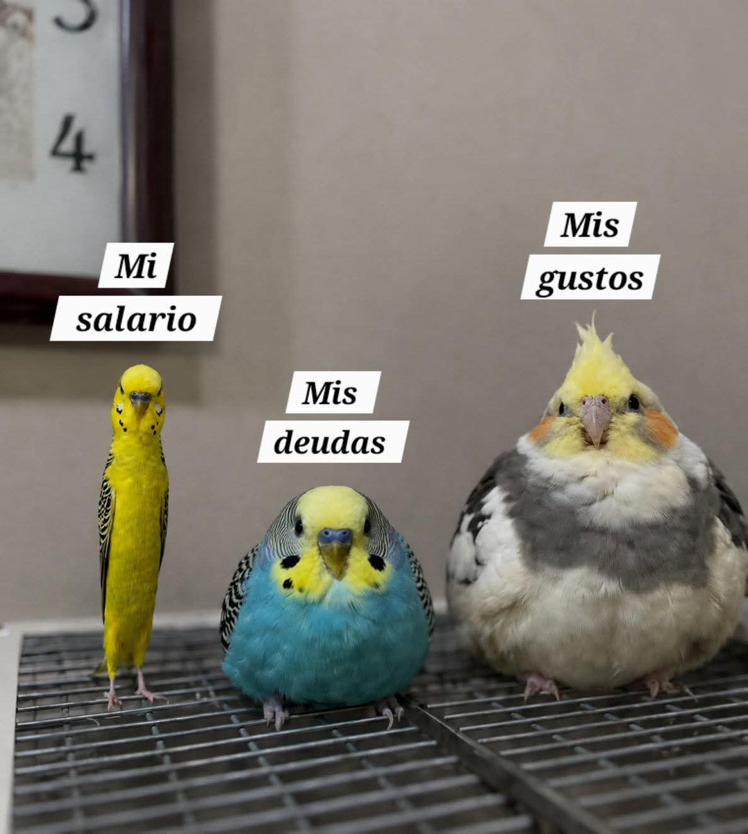 En Júpiter tweet media