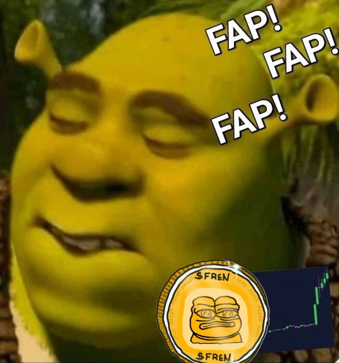 COOLIHAN $FREN ON ADA 🐸🫂 tweet media