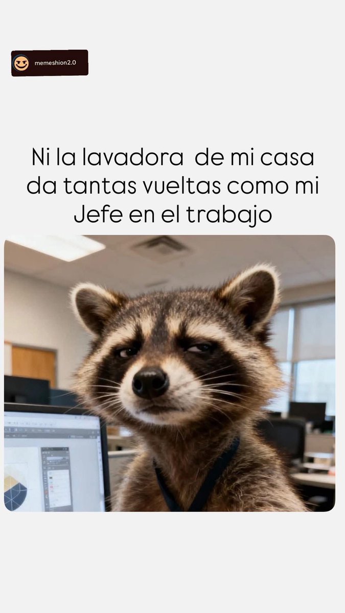 Sanchez Lo A tweet media