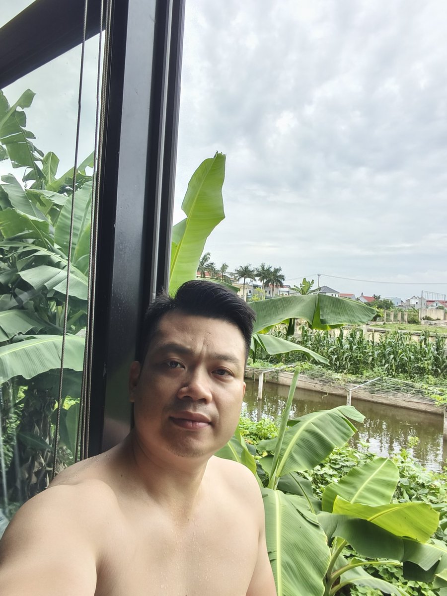 Nguyễn Trung Hiếu | Harry tweet media
