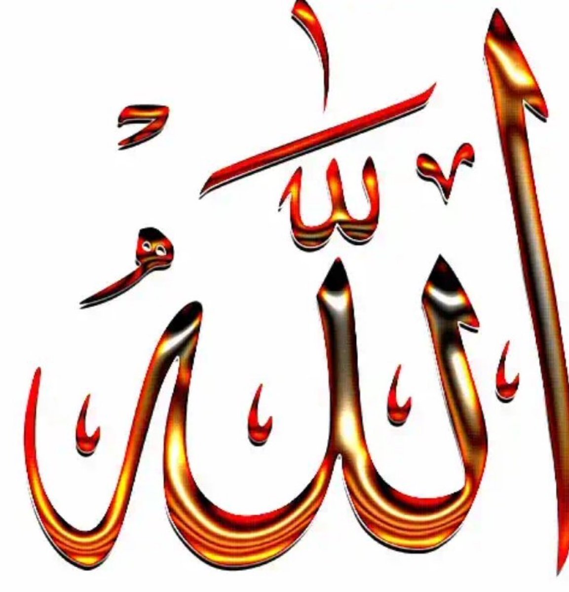 خان تنولی tweet media