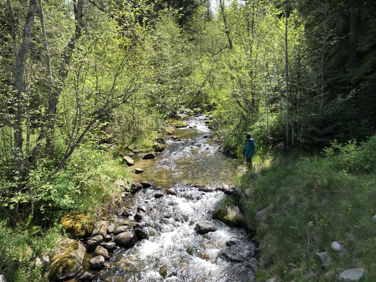 CLRConline's tweet photo. Afternoon hike by the creek!  

#FridayOnTheFarm #FarmLife #Homestead #farmlifestyle https://t.co/pursijg09h