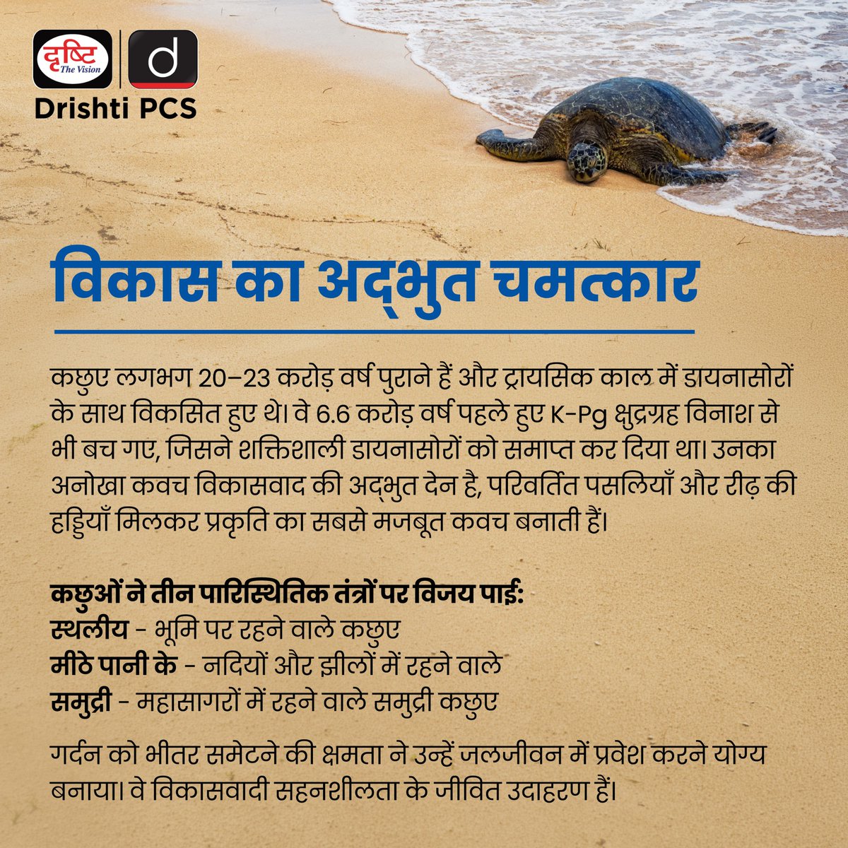 DrishtiPCS's tweet photo. डायनासोर खत्म हो गए, लेकिन कछुए बच गए। 
20 करोड़ साल पुराने ये जीव अब इंसानी खतरों से जूझ रहे हैं।

#WorldTurtleDay #SaveTurtles #WildlifeConservation #ClimateChange #MarineLife #Biodiversity #Nature #TurtleConservation #Environment #Earth #DrishtiPCS https://t.co/rNEx1En9lt
