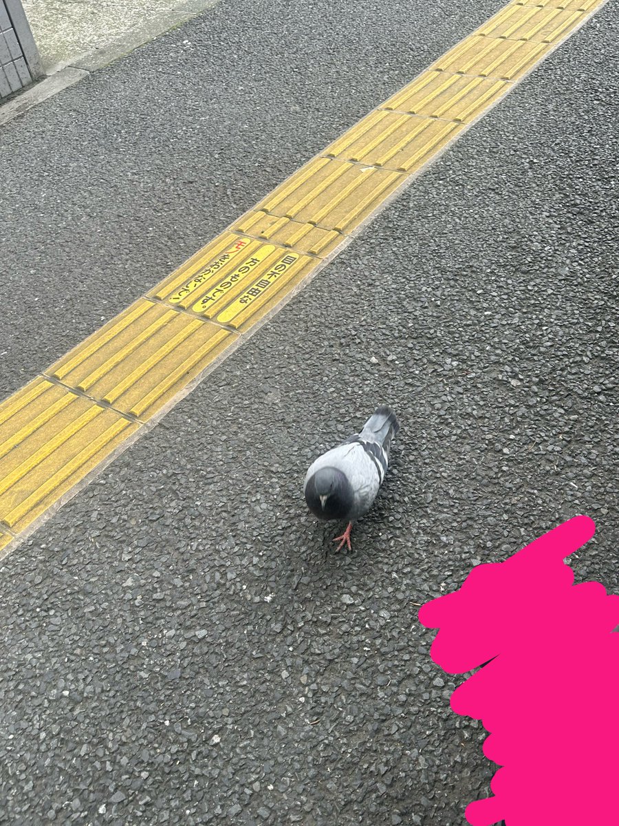 みとのさぶあか tweet media