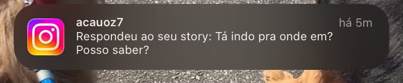nino bati o creta dos santos 🦁🇵🇸 tweet media