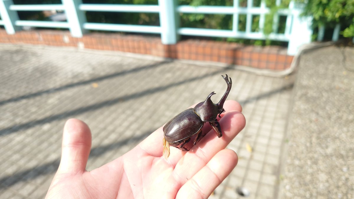 蕭聖翰 (@oba72367r) / Posts / X