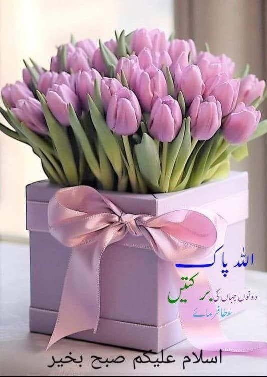 سعدیہ ملک tweet media