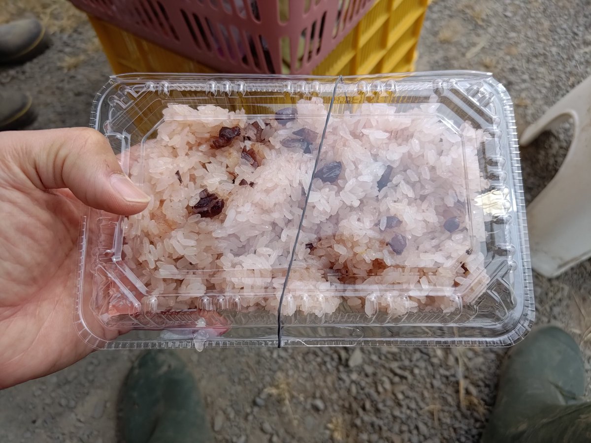 Yamato(お米隊あおもり米推し) tweet media