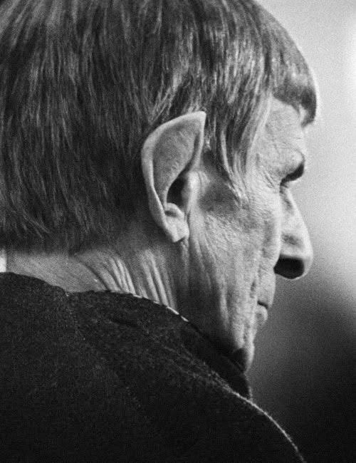 schumisnoopy's tweet photo. oh spock https://t.co/Qb3WoX7MYY