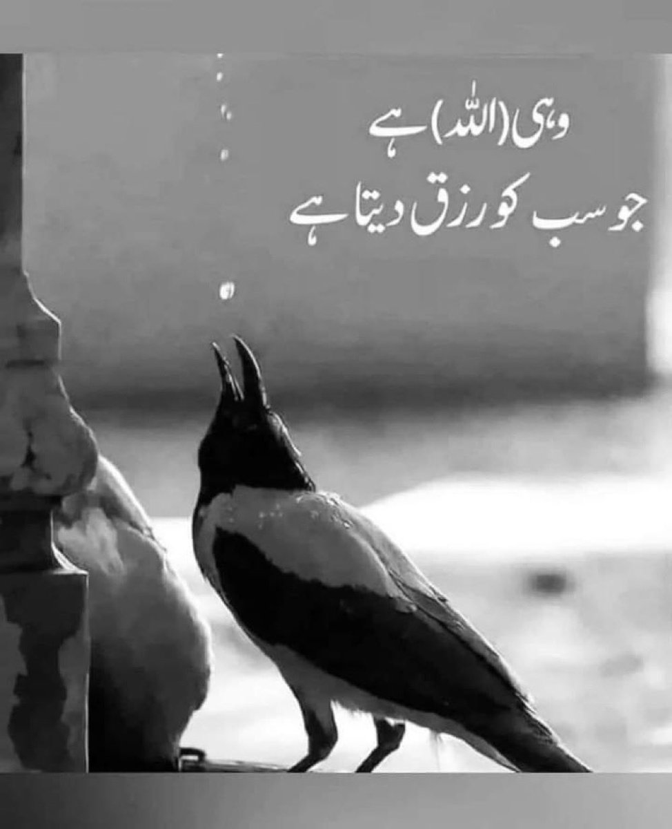 forhellowhi tweet picture