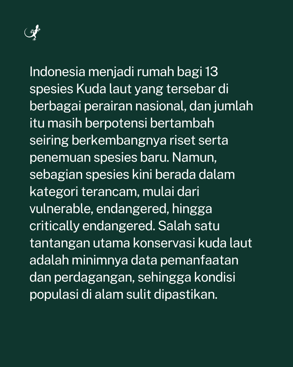 Mongabay Indonesia tweet media