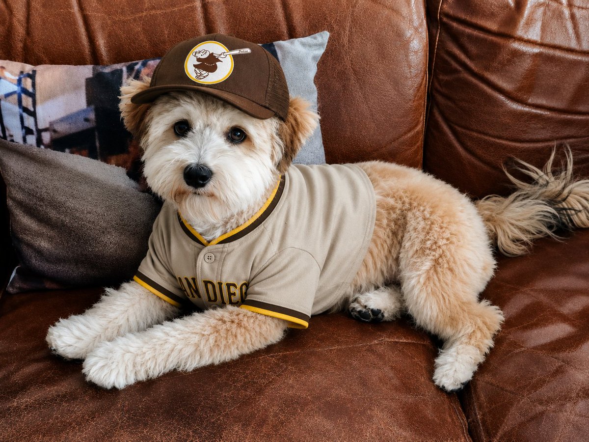 Milemarker4's tweet photo. #PadresPets https://t.co/NhQhEE5bCG