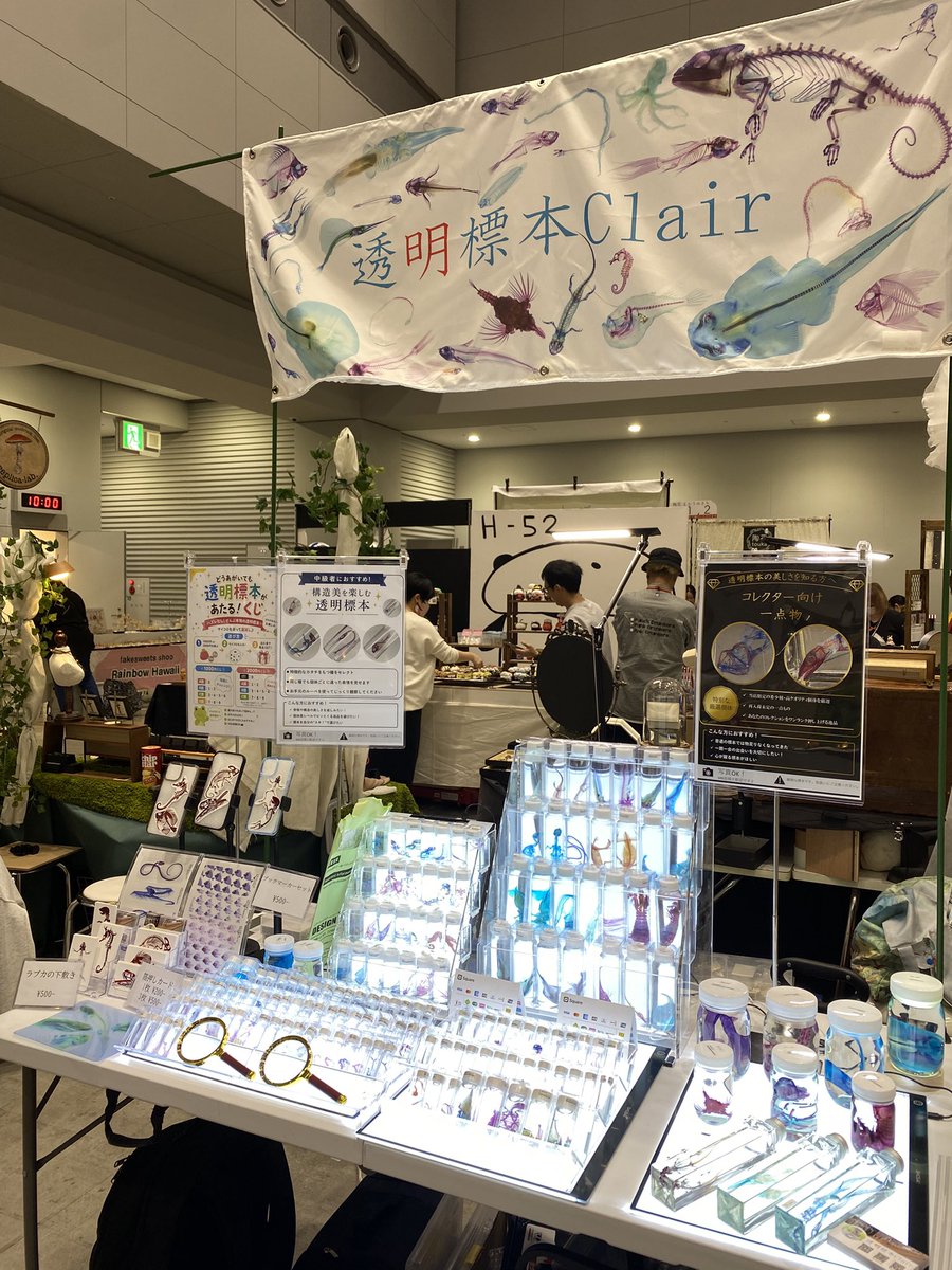 透明標本Clair デザフェス5/23,24 H-105,106 tweet media