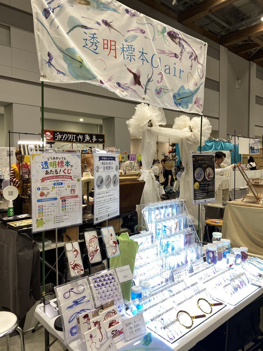 透明標本Clair デザフェス5/23,24 H-105,106 tweet media