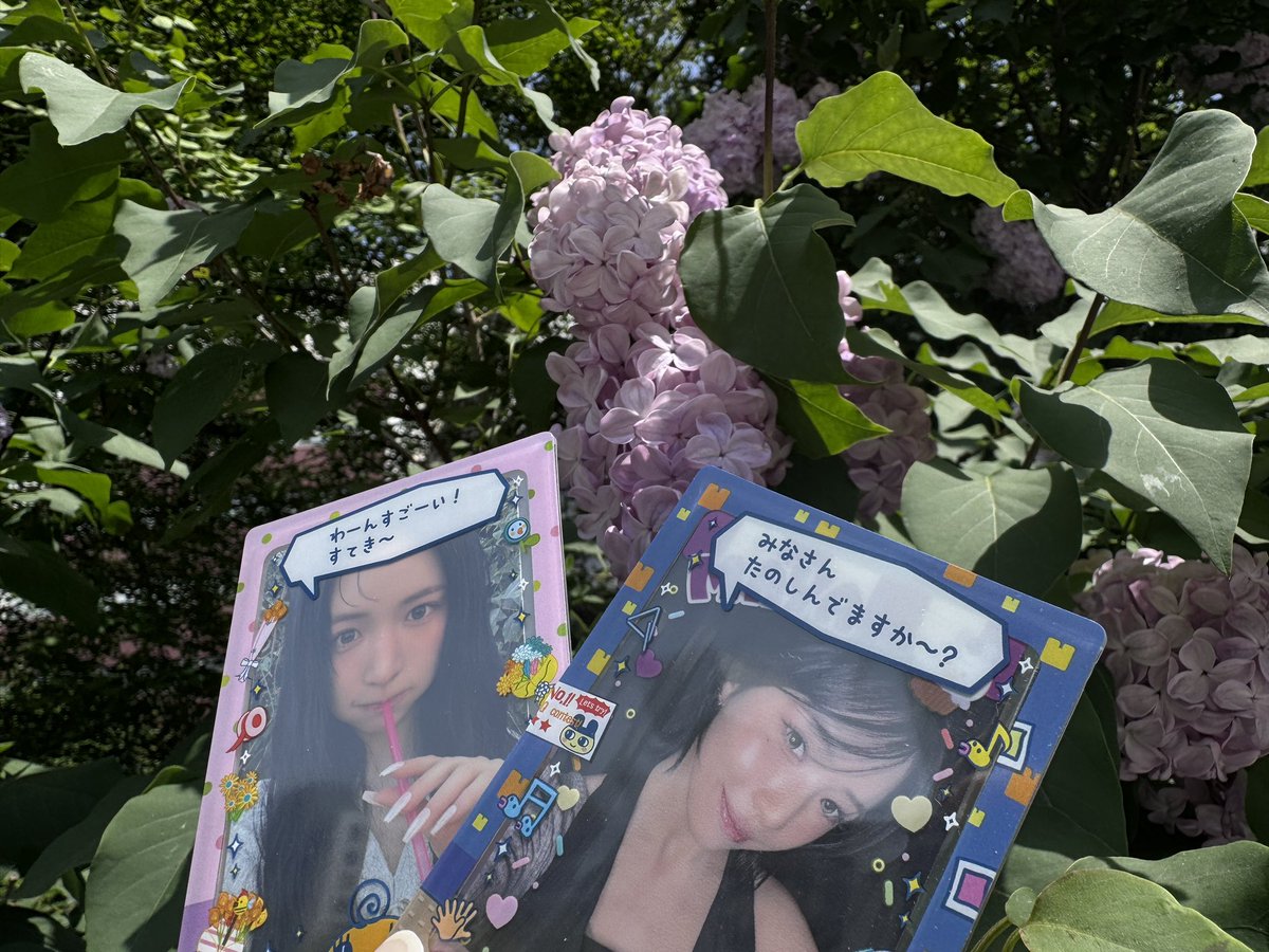 aikamaya tweet media