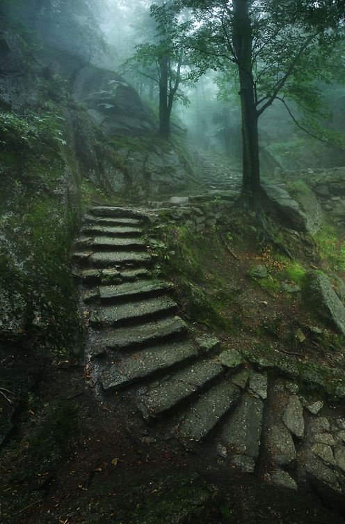 Earth pictures 🌍🌎🌏 tweet media