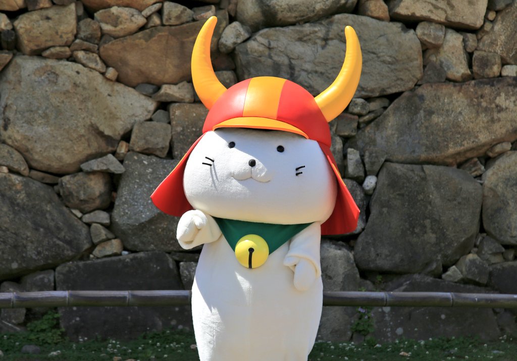本日のひこにゃん〜🏯☀平日にも関わらずたくさんのお客様で賑わってい