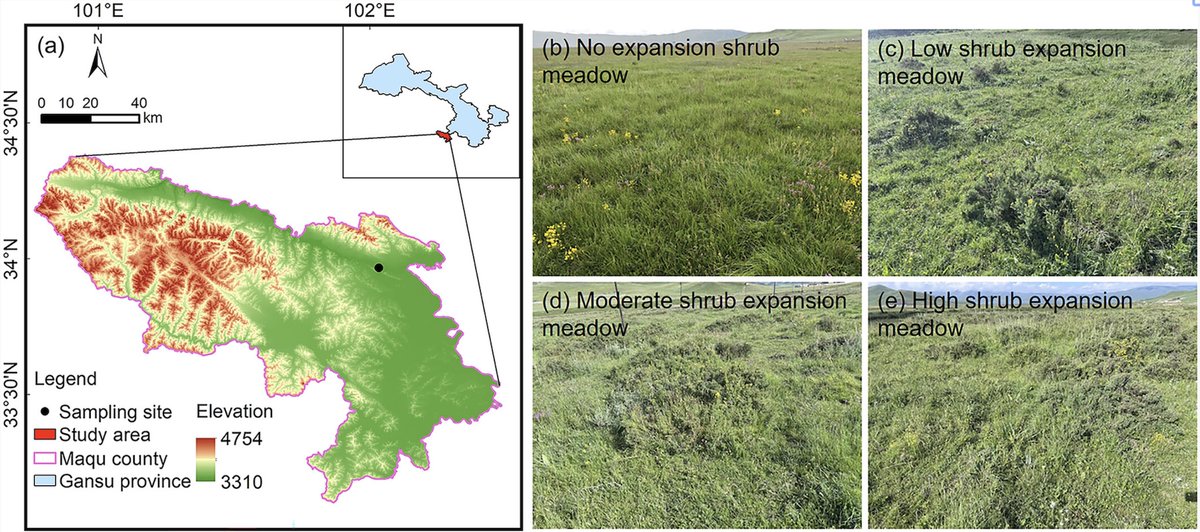 Ecological Research tweet media