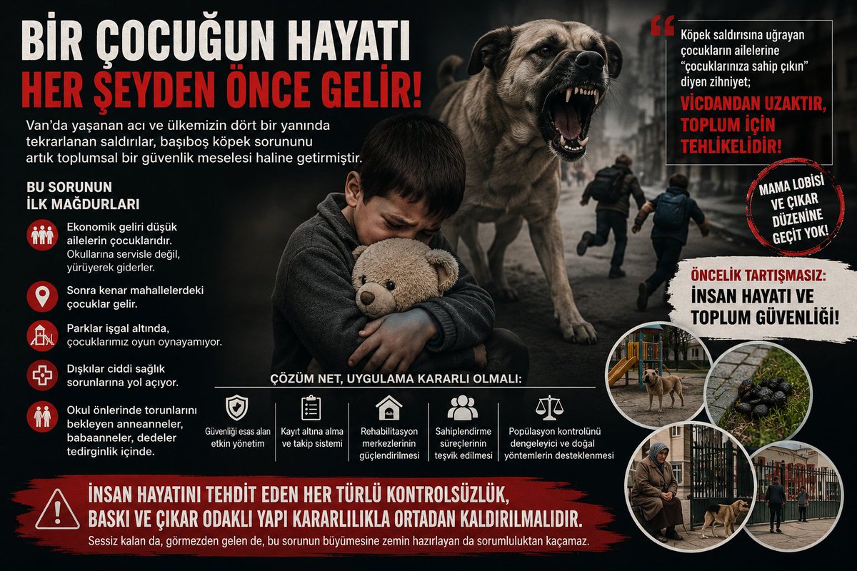 Mehmet Uca tweet media