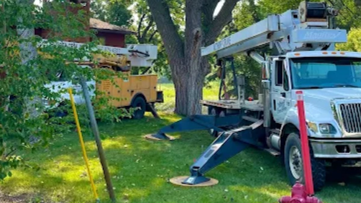 ruggedtree1's tweet photo. Tree Service Near Gary Fire Department

✔️ Reliable local tree care
✔️ Tree trimming &amp; removal
✔️ Safe, professional service

https://t.co/RdIAt3w03U

CONTACT US
Rugged Tree Service
206 N Brook Ave, Porter Minnesota 56280
507-829-4317

#TreeService #LocalTreeCare https://t.co/RTnsjHceLH