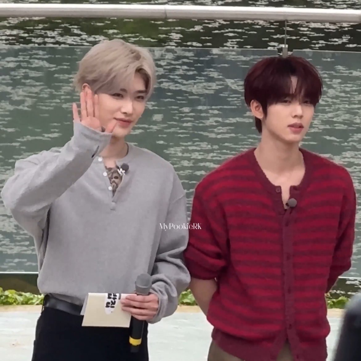 심냥이♥ tweet media