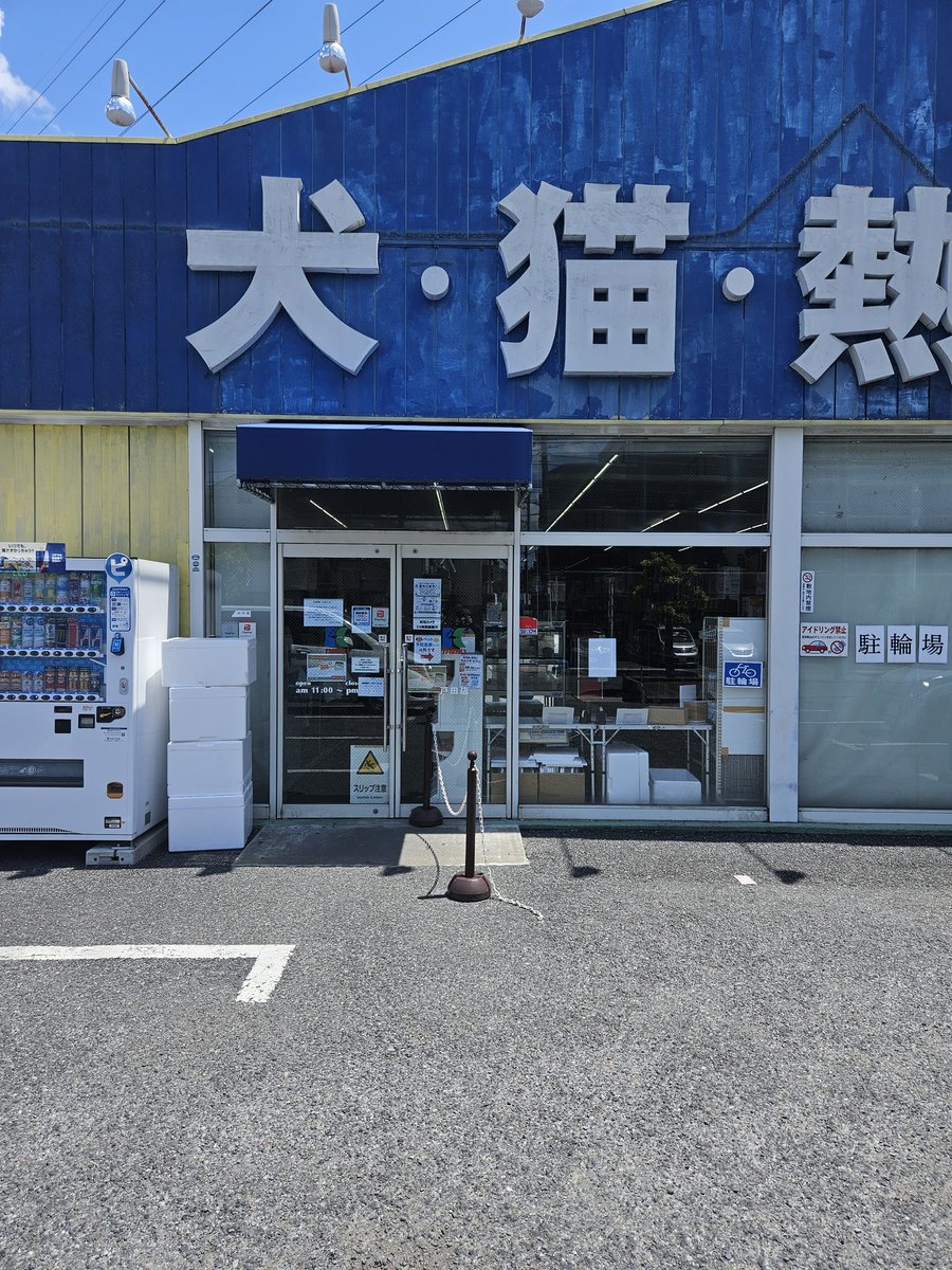 倉田のらざき tweet media