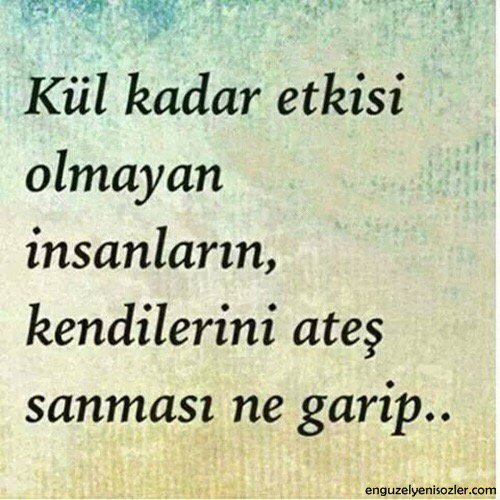 Esra tweet media