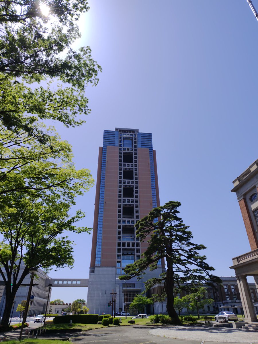 てろめえ tweet media
